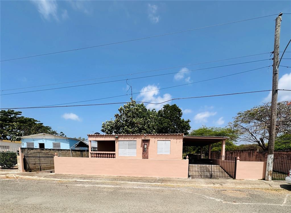 92 Camino San Martin, Comm. San Martin, Guayama - 11
