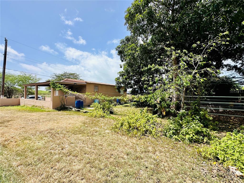 92 Camino San Martin, Comm. San Martin, Guayama - 16