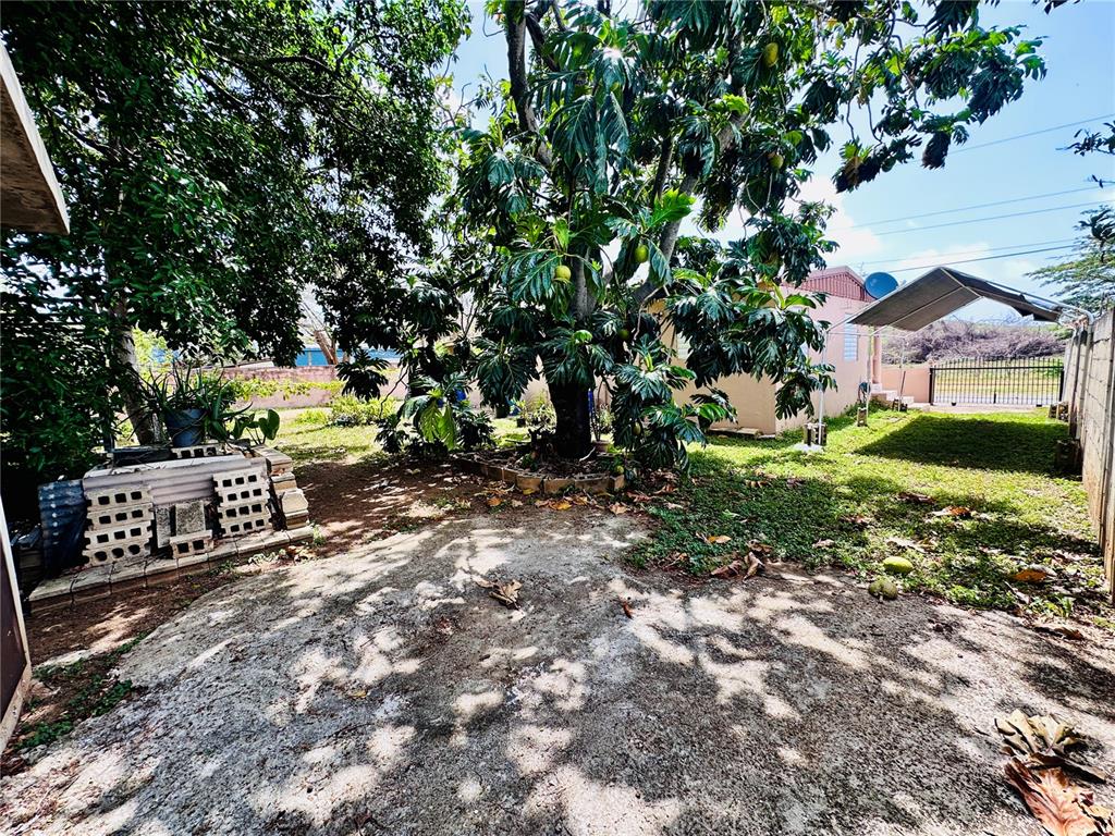 92 Camino San Martin, Comm. San Martin, Guayama - 17