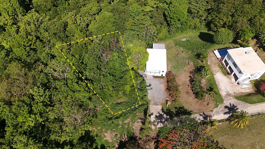 Hidden Tranquil Lot, 413 Sector Collazo, Rincon - 1