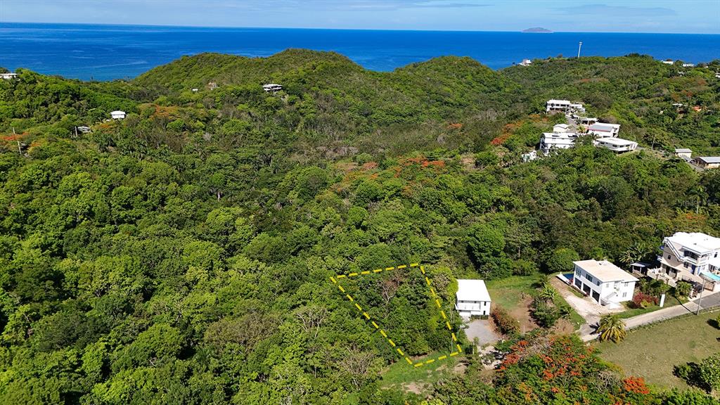 Hidden Tranquil Lot, 413 Sector Collazo, Rincon - 2