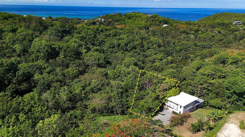 Hidden Tranquil Lot, 413 Sector Collazo, Rincon - 3