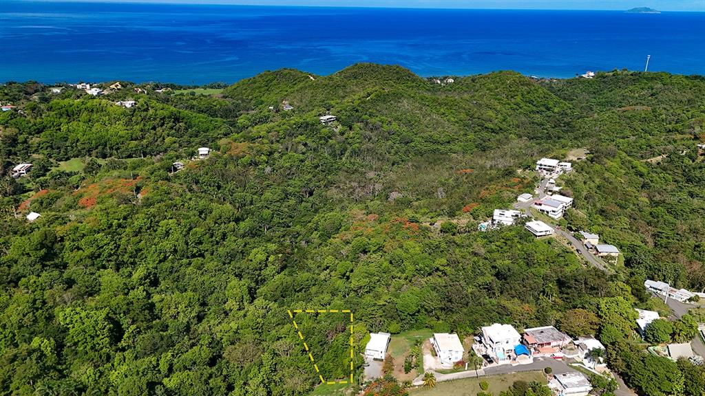 Hidden Tranquil Lot, 413 Sector Collazo, Rincon - 4