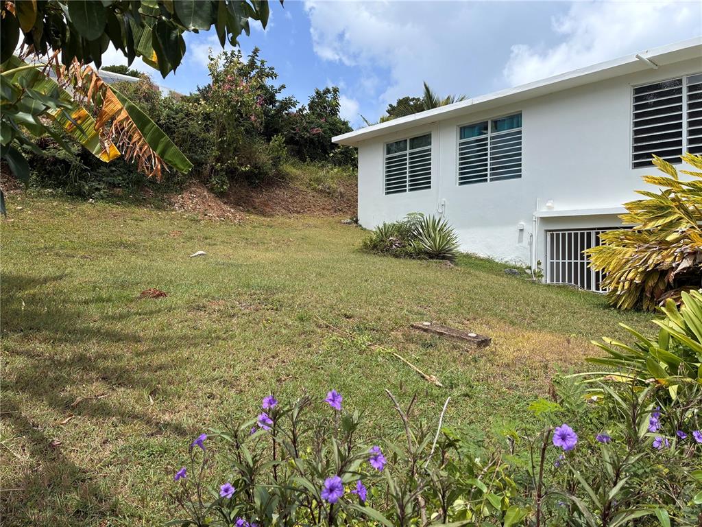 398, Casa Corazon, Vieques - 3