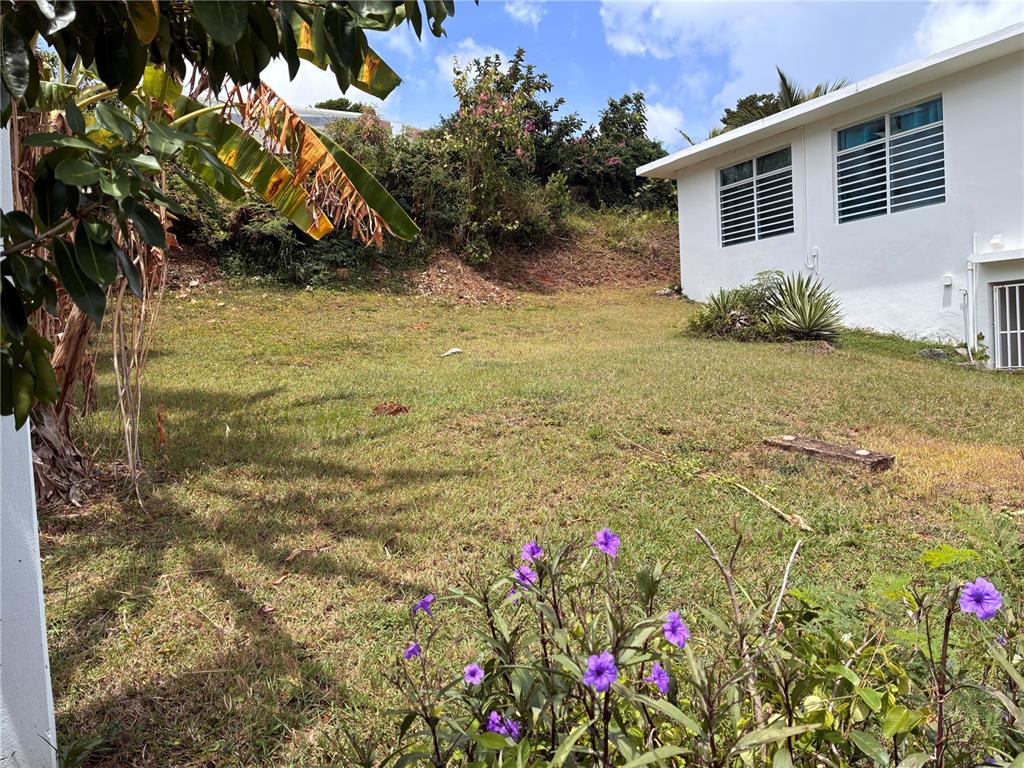398, Casa Corazon, Vieques - 4