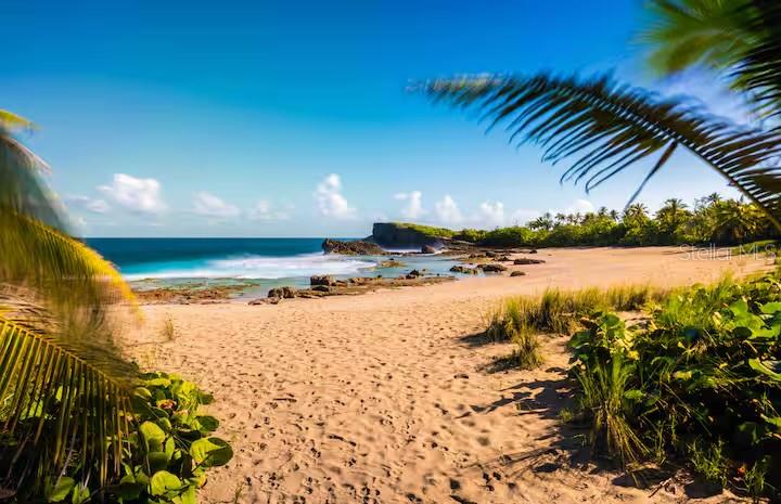 Pr 681 Km 11.7, Islote Ward, Arecibo - 4