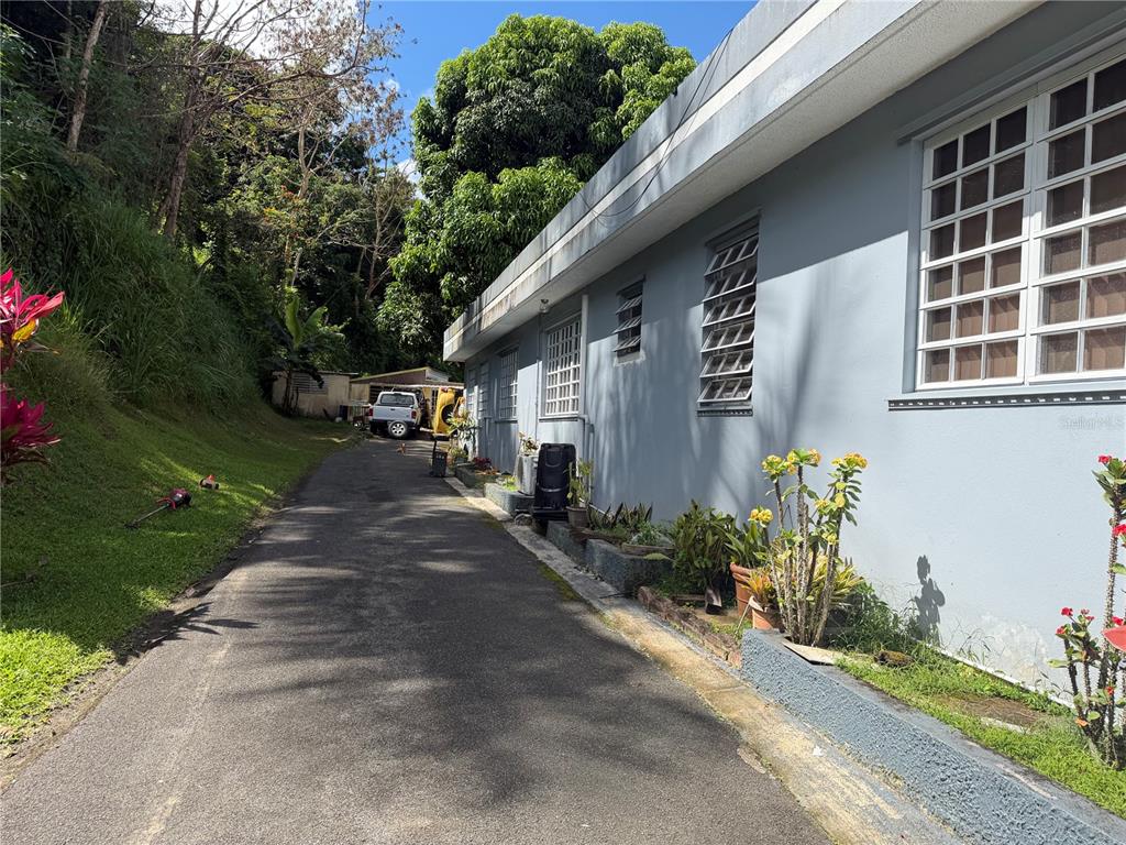 Sector Flor Sanchez, Bo. Buena Vista, Bayamon - 13