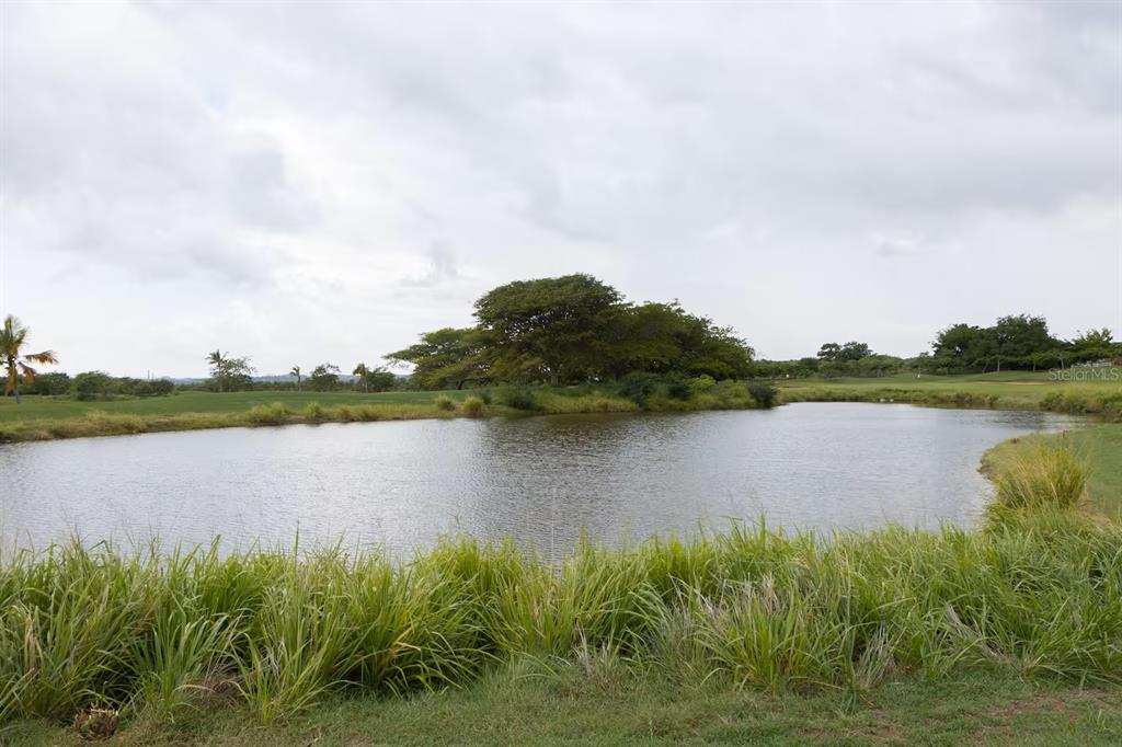 2412, Pr-713 Km 2.5, Cond. El Legado Golf Resort, Guayama - 27