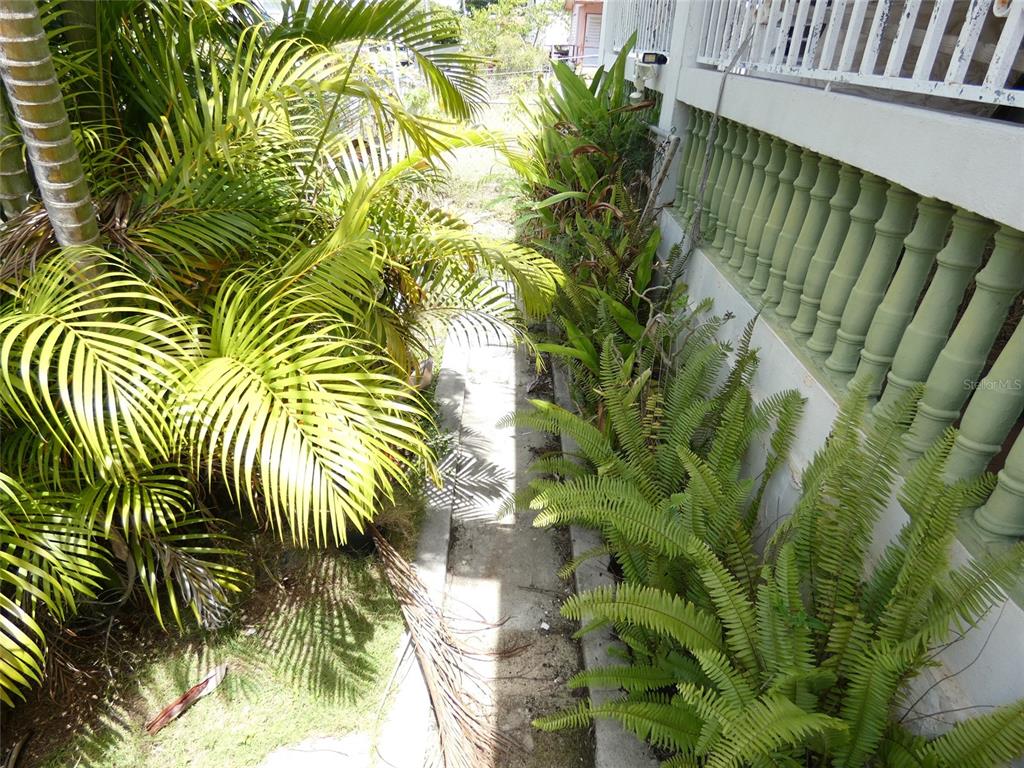 491, Calle Gladiola, Vieques - 2