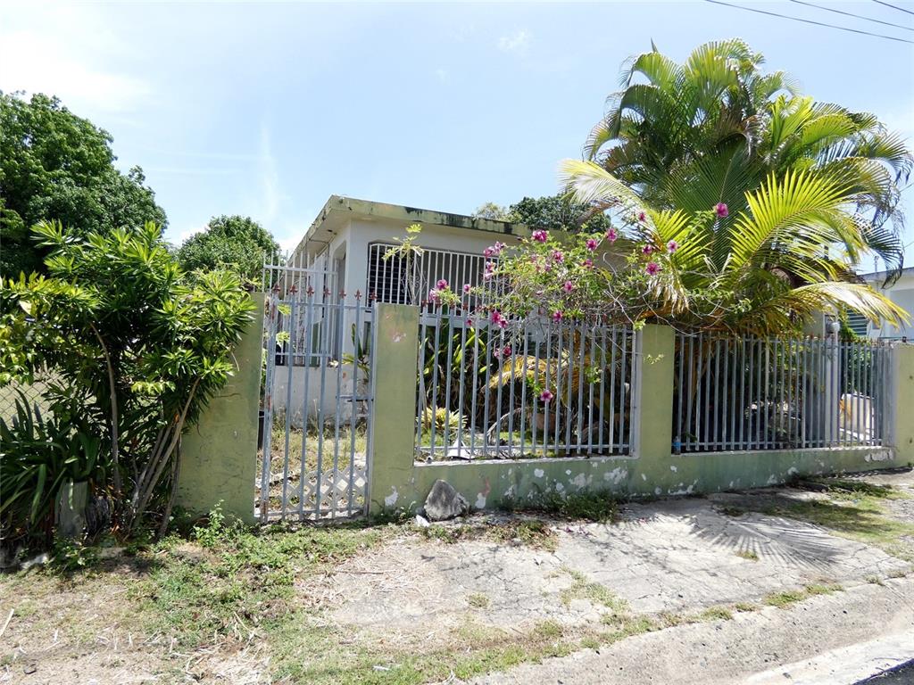 491, Calle Gladiola, Vieques - 26