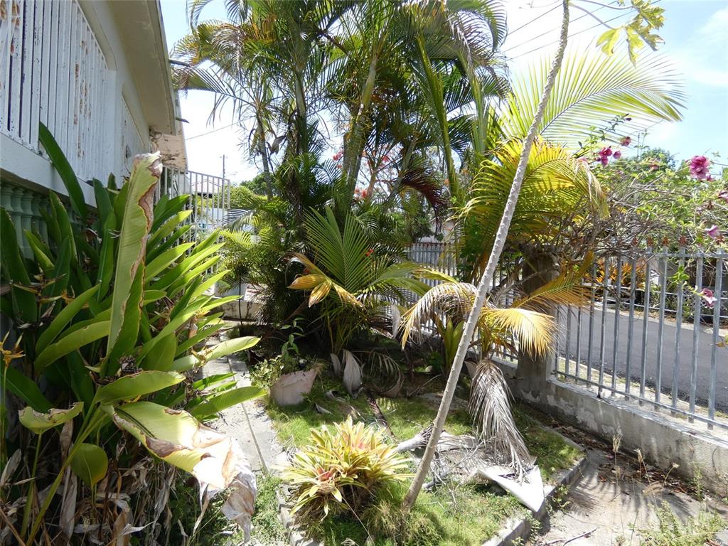 491, Calle Gladiola, Vieques - 3