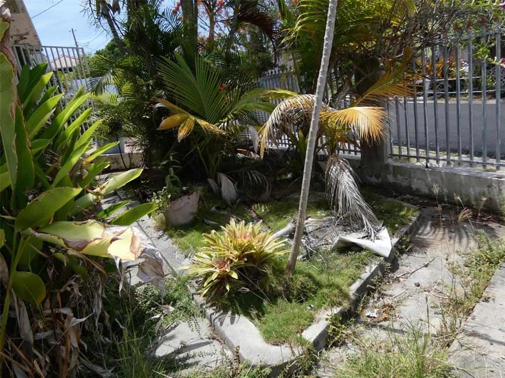 491, Calle Gladiola, Vieques - 4
