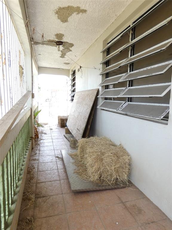 491, Calle Gladiola, Vieques - 5