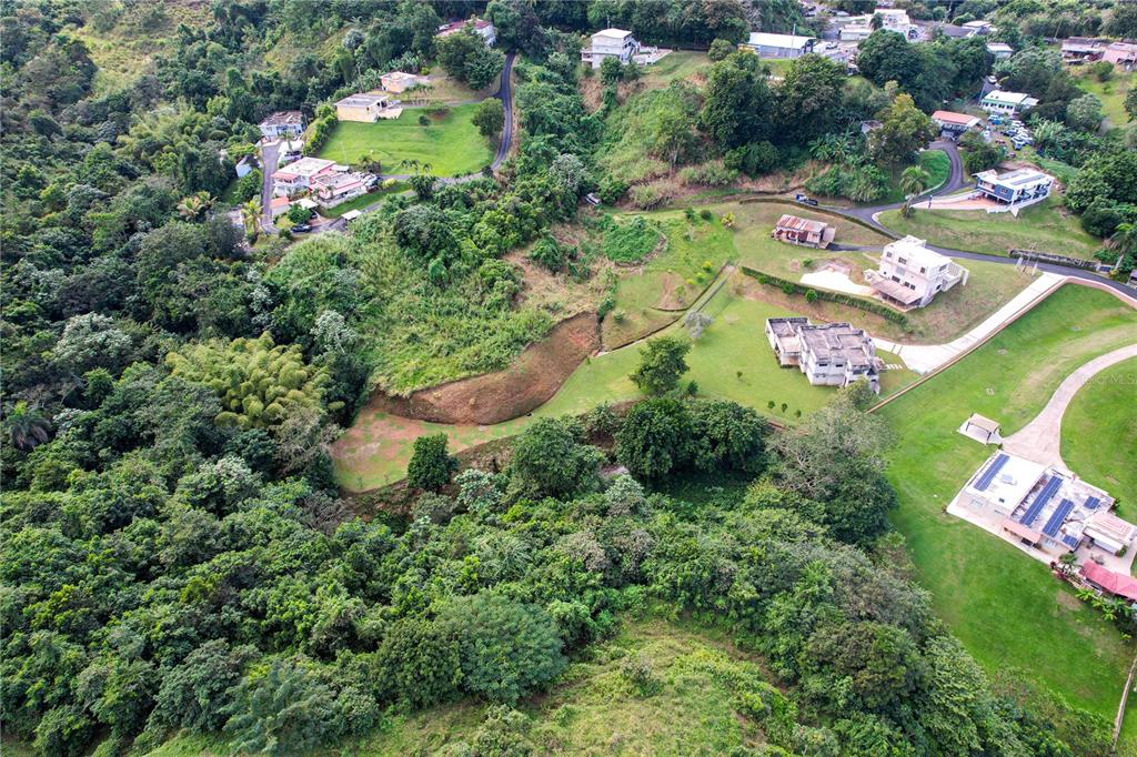 Pr 568 Km 28.5 Sector El Limon Padilla, Corozal - 10