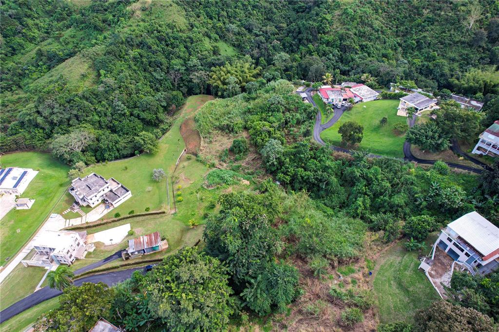 Pr 568 Km 28.5 Sector El Limon Padilla, Corozal - 11