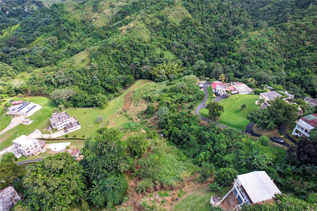 Pr 568 Km 28.5 Sector El Limon Padilla, Corozal - 5