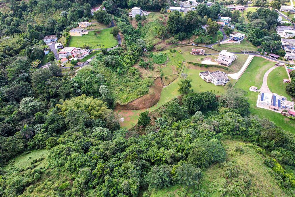 Pr 568 Km 28.5 Sector El Limon Padilla, Corozal - 6