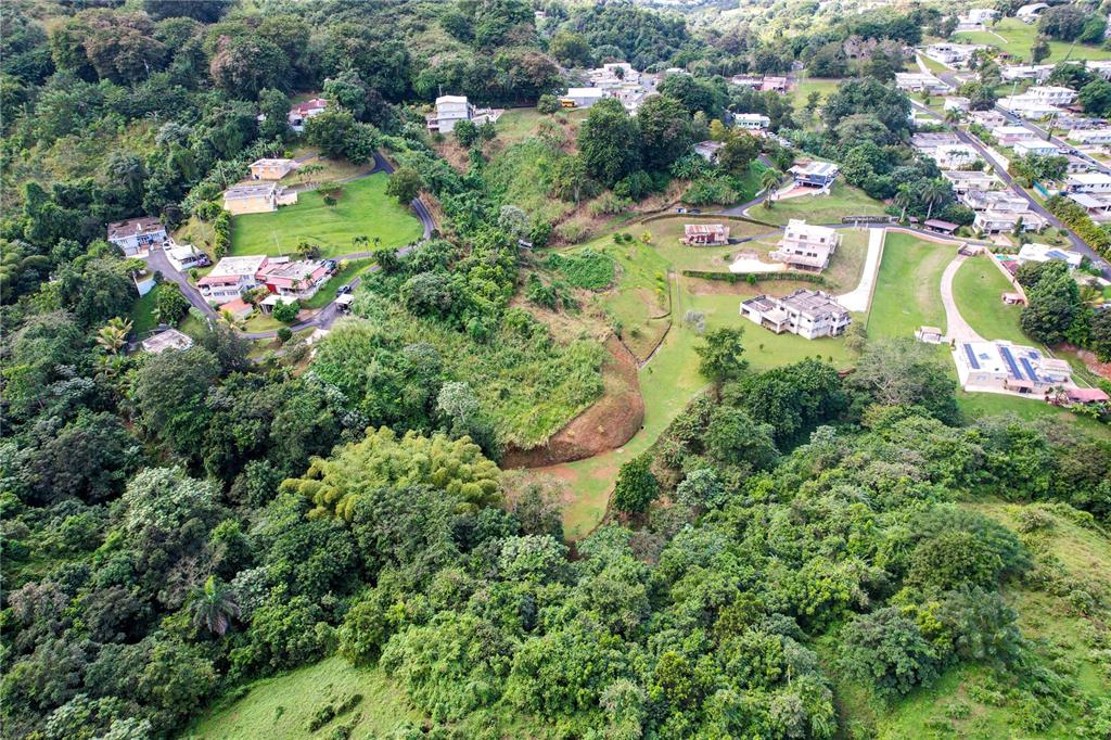 Pr 568 Km 28.5 Sector El Limon Padilla, Corozal - 9