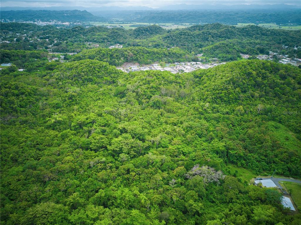 Pr 616, La Monserrate, Manati - 5