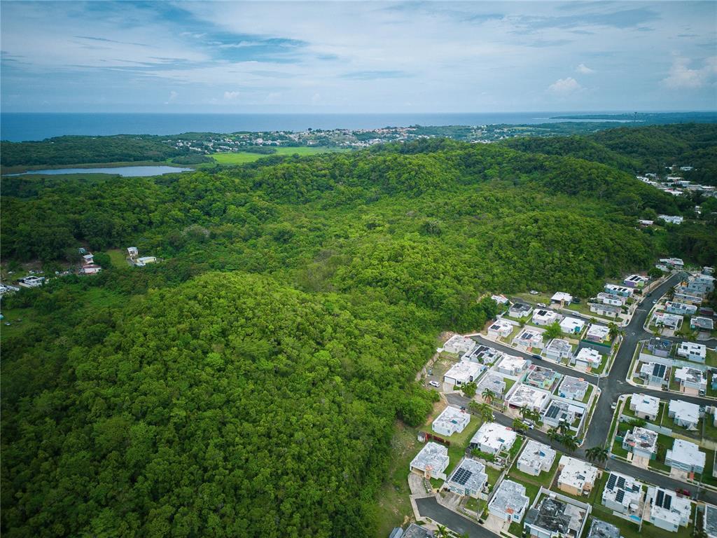 Pr 616, La Monserrate, Manati - 6