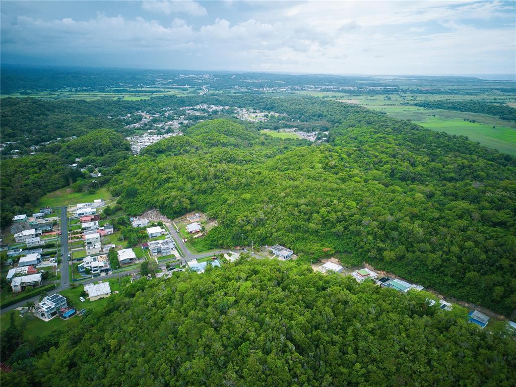 Pr 616, La Monserrate, Manati - 7