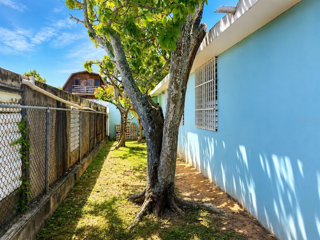 D5 Calle Canario, Villa Serena, Arecibo - 9