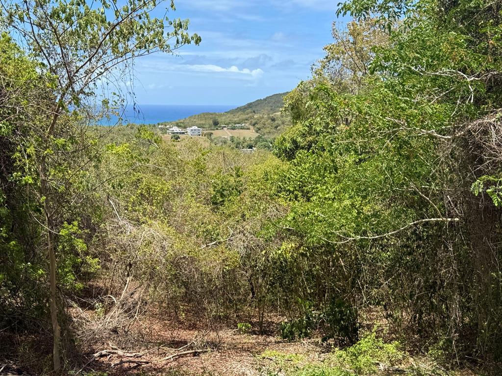 89, Calle Casa Hix, Vieques - 10