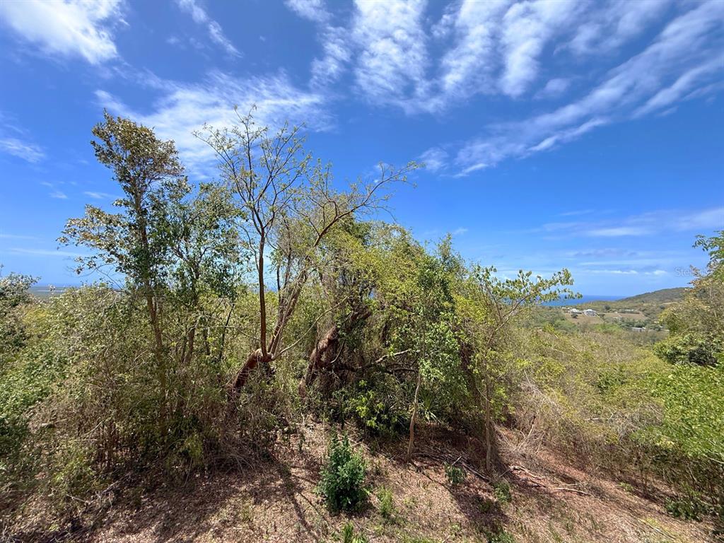 89, Calle Casa Hix, Vieques - 3