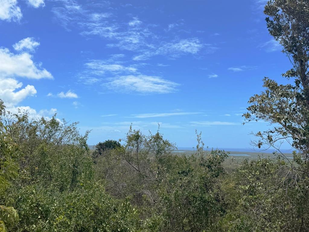 89, Calle Casa Hix, Vieques - 4