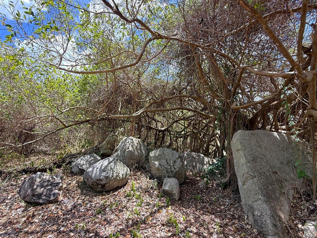 89, Calle Casa Hix, Vieques - 5