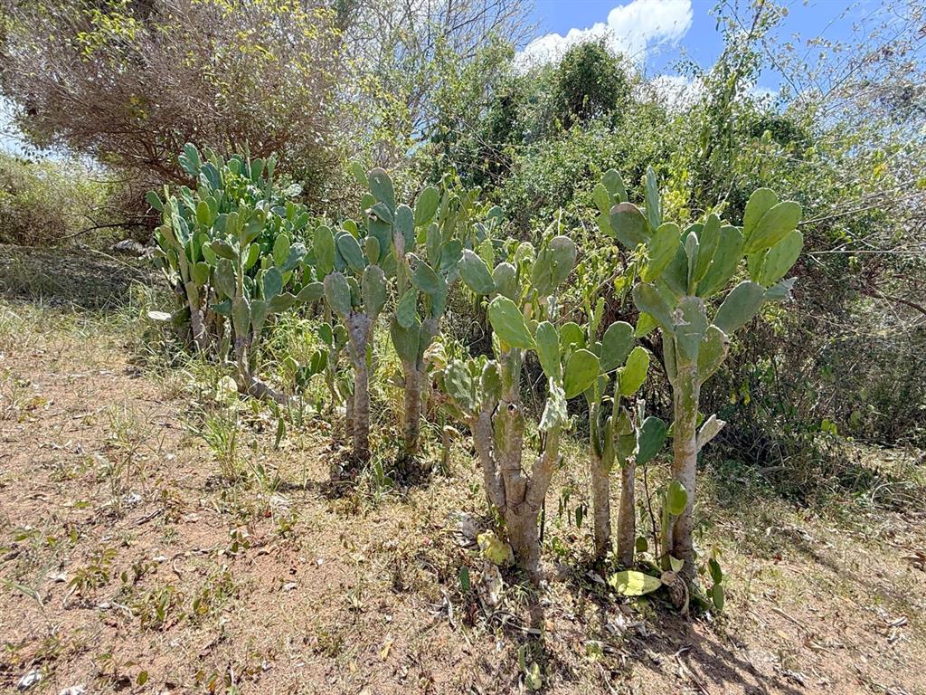 89, Calle Casa Hix, Vieques - 6