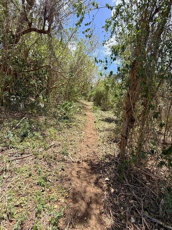 89, Calle Casa Hix, Vieques - 7