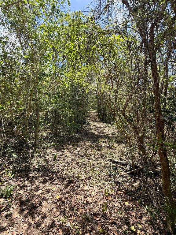 89, Calle Casa Hix, Vieques - 9