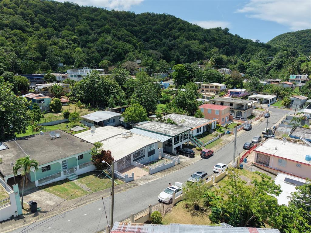 214, Calle Jose Gautier Parcelas Marueño, Ponce - 26