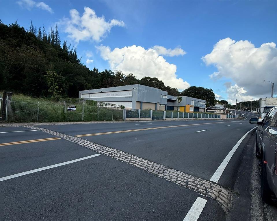 Valencia, Ave Orquidea Urb Valencia, Bayamon - 4
