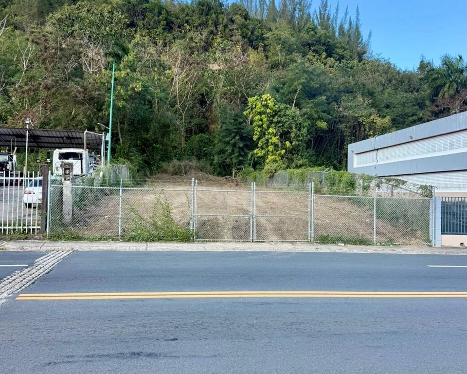 Valencia, Ave Orquidea Urb Valencia, Bayamon - 6