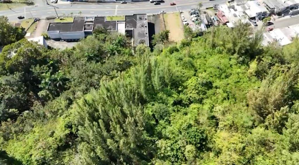 Valencia, Ave Orquidea Urb Valencia, Bayamon - 7