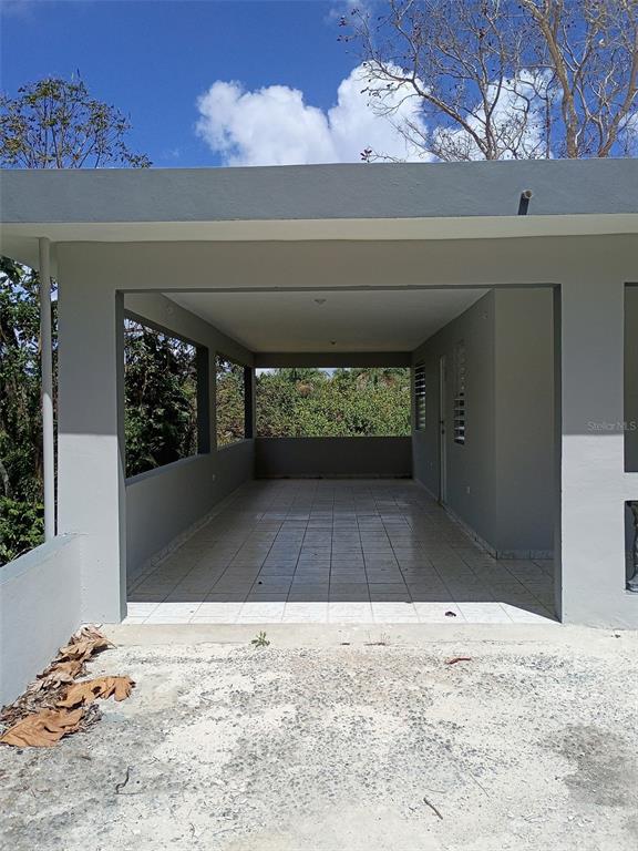 156, Bo. Bayamoncito, Aguas Buenas - 2