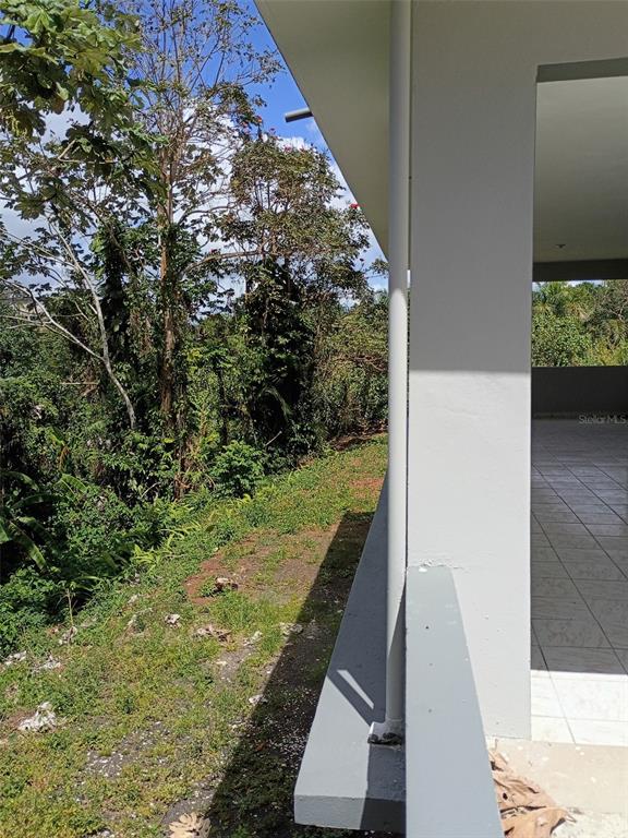 156, Bo. Bayamoncito, Aguas Buenas - 3