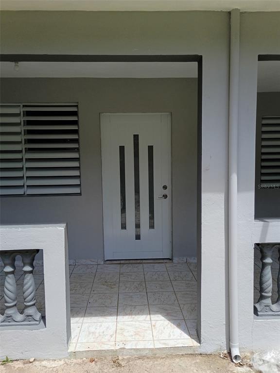 156, Bo. Bayamoncito, Aguas Buenas - 6