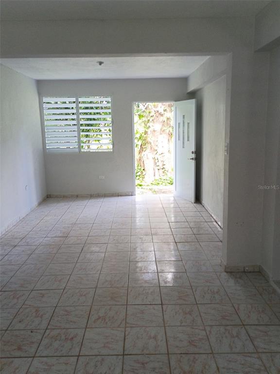 156, Bo. Bayamoncito, Aguas Buenas - 7