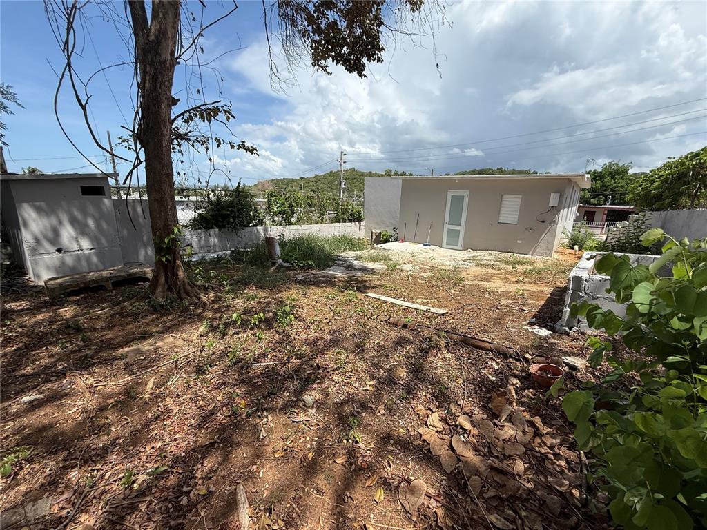 Zeno Gandia, 65 Infantería, Arecibo - 8