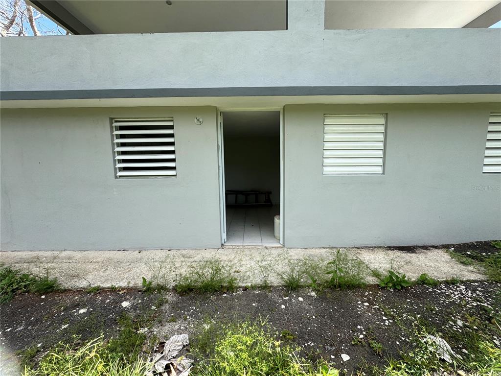 156, Bo Bayamoncito, Aguas Buenas - 3