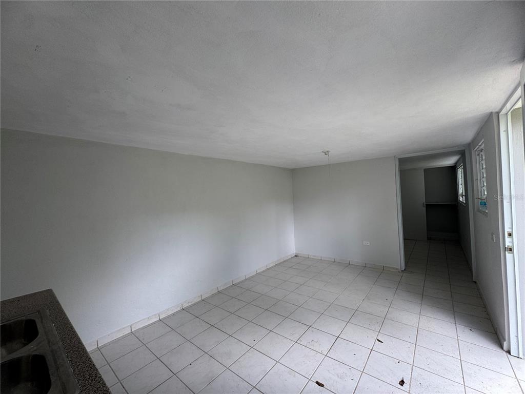 156, Bo Bayamoncito, Aguas Buenas - 4