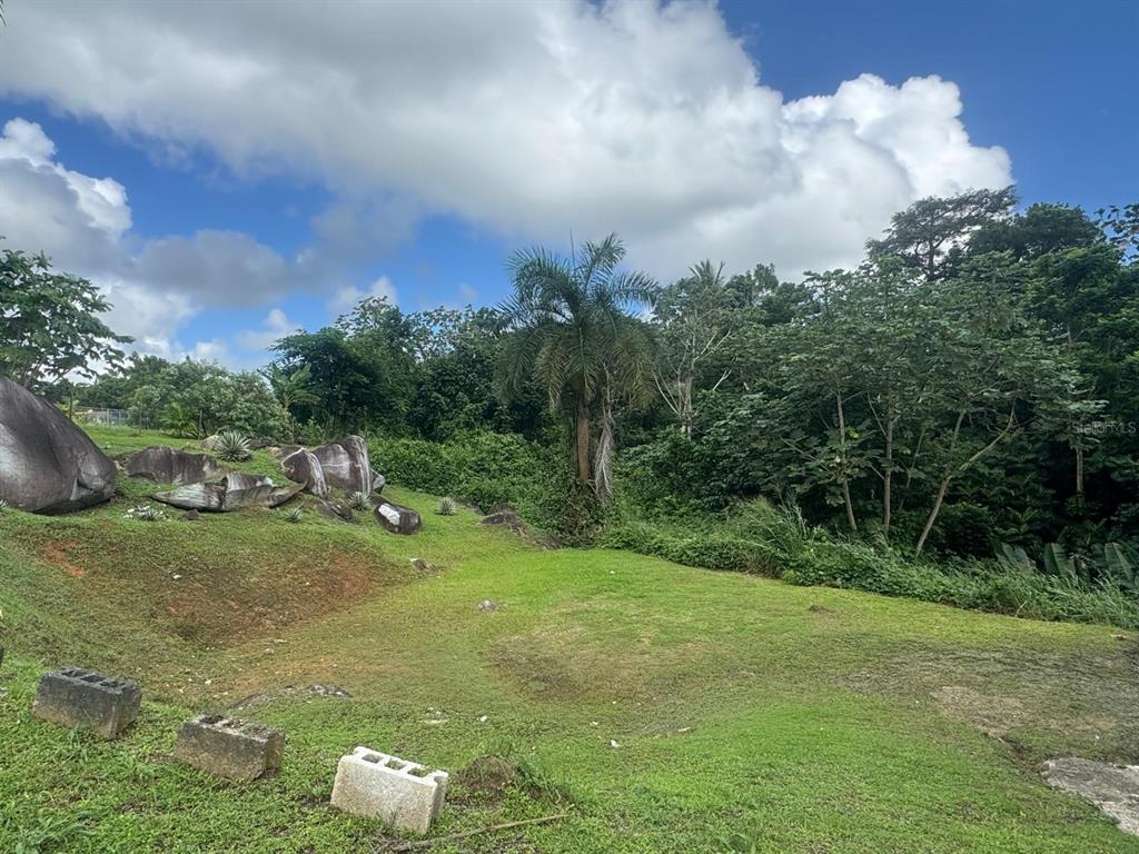 7, Carr. 908 Km 9.4, Bo. Tejas Apt., Humacao - 7