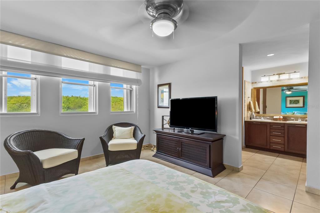 1303, 285, Palmas Inn Way, Humacao - 18