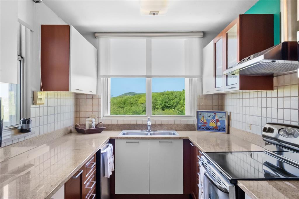 1303, 285, Palmas Inn Way, Humacao - 45