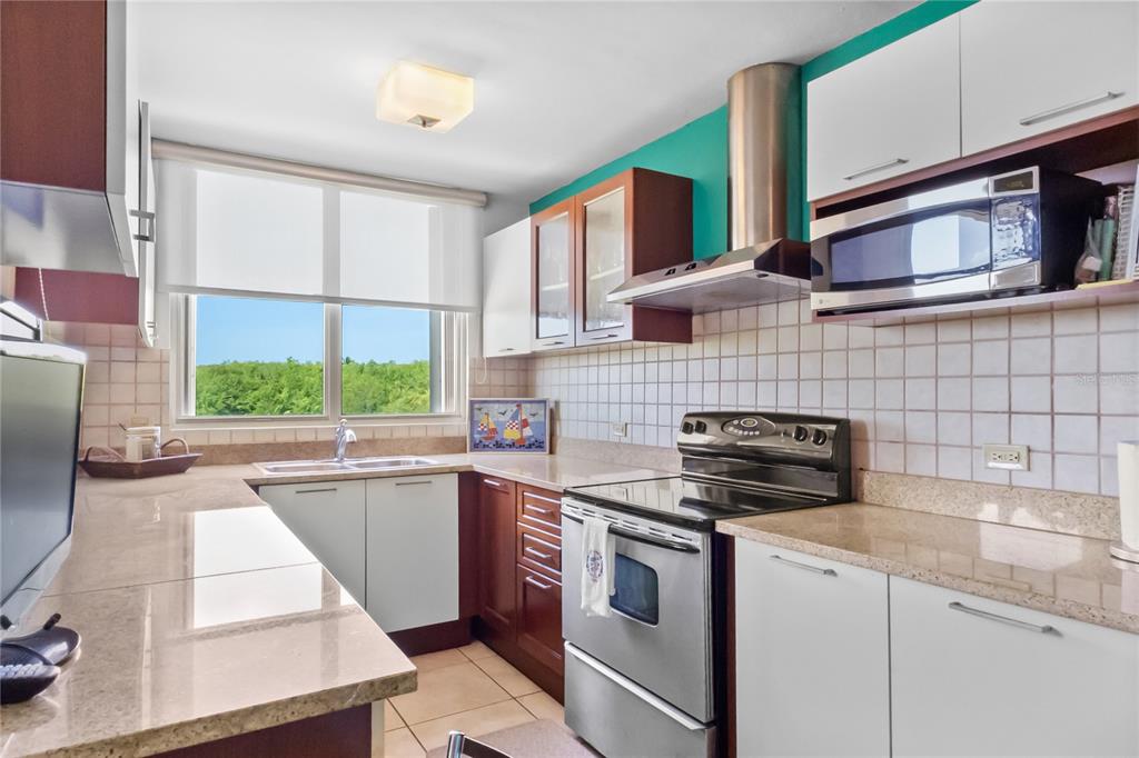 1303, 285, Palmas Inn Way, Humacao - 46