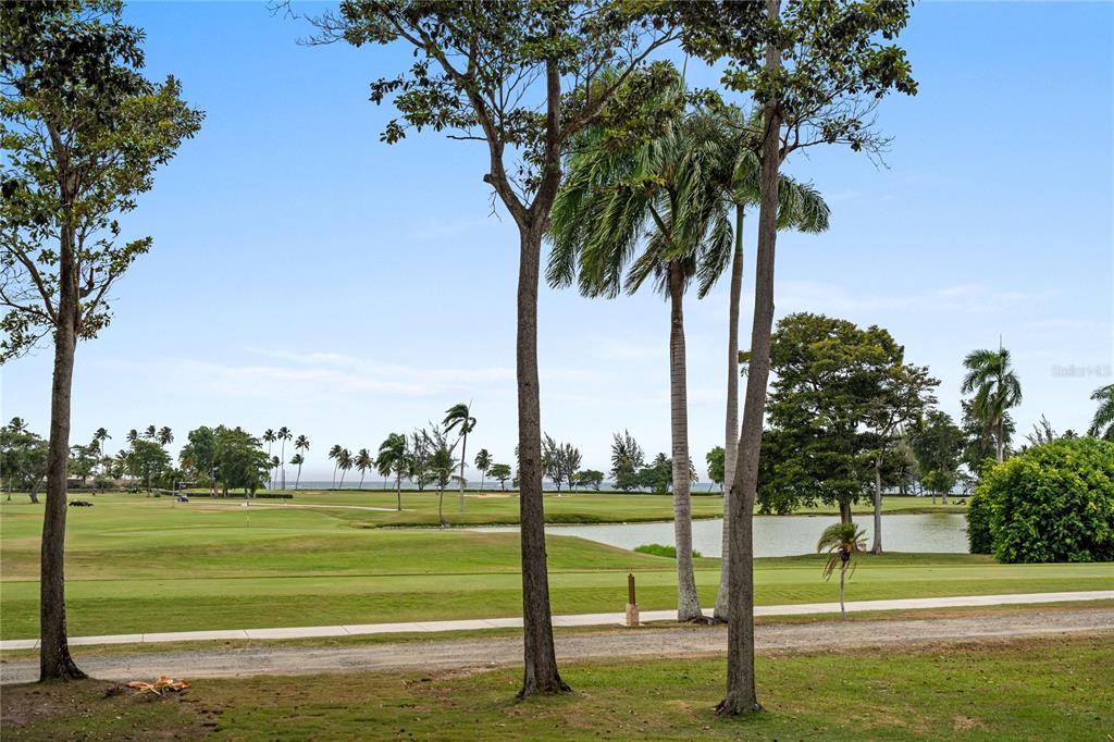 2111-2112, Villa Dorado Beach Estates, Dorado - 52
