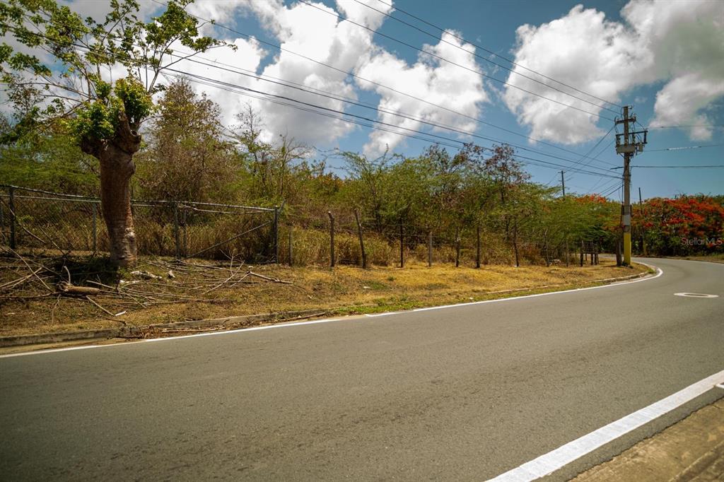 Pr 201, Bo Florida, Vieques - 3